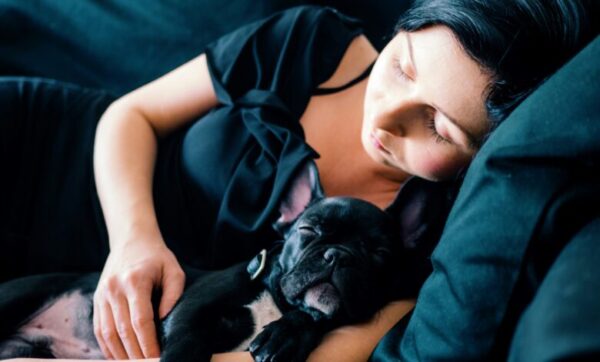 What Are the Main Narcolepsy Symptoms and How to Identify Them?
